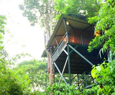 https://imgcld.yatra.com/ytimages/image/upload/t_hotel_yatra_city_desktop/v1434611481/Domestic Hotels/Hotels_Wayanad/Coffee Acres Plantation Resort/TREE HOUSE 1.jpg